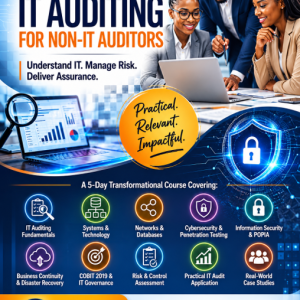 IT Auditing in the Public Sector